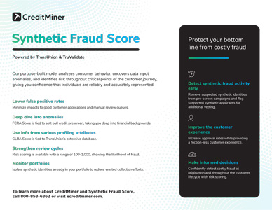 CreditMiner Synthetic Fraud Score one sheeter