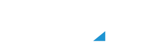 Dealer eProcess logo, white